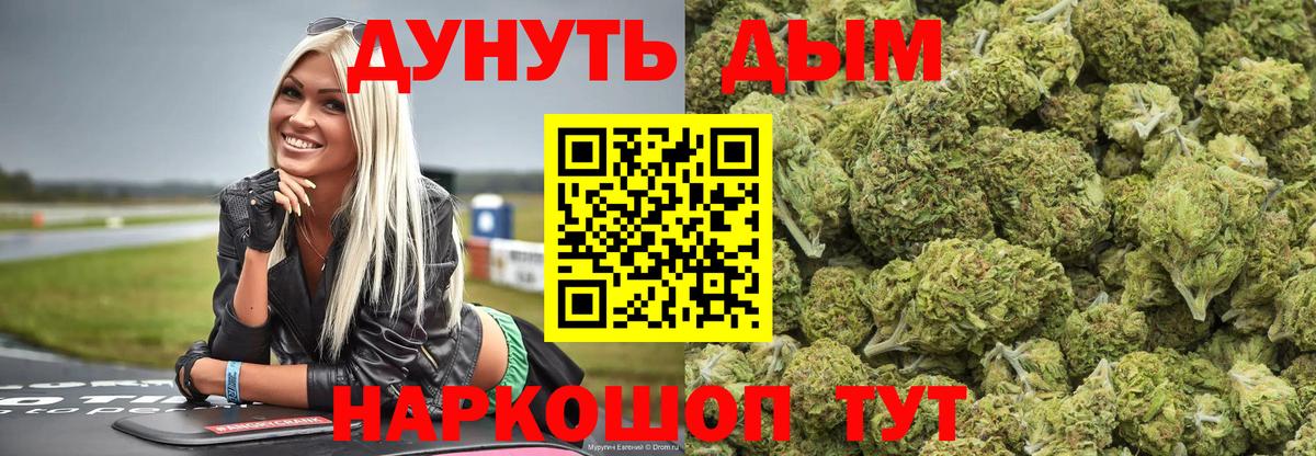 Бошки Шишки планчик  Бошки Шишки VHQ  Сальск  Вход с VPN 